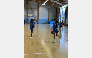 6918900a3008a_IMG6530.jpeg
